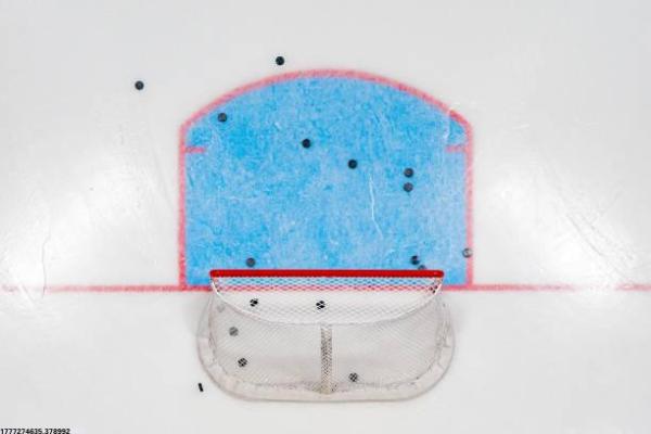 运动员培训费用为什么差距这么大(图1)